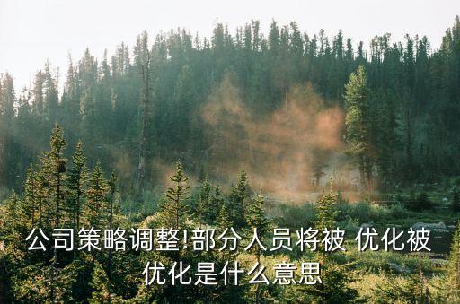 如何優(yōu)化勞動合同法律規(guī)定,勞動合同不可抗力的法律規(guī)定