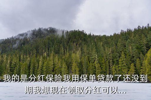 我的是分紅保險(xiǎn)我用保單貸款了還沒到期我想現(xiàn)在領(lǐng)取分紅可以...