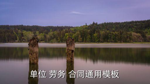 單位 勞務(wù) 合同通用模板