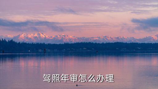 駕照年審怎么辦理