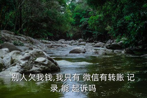 別人欠我錢,我只有 微信有轉(zhuǎn)賬 記錄,能 起訴嗎