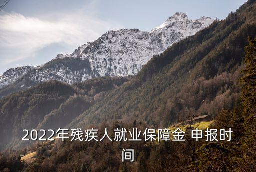 2022年殘疾人就業(yè)保障金 申報(bào)時(shí)間