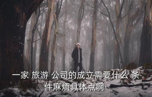 一家 旅游 公司的成立需要什么 條件麻煩具體點啊·