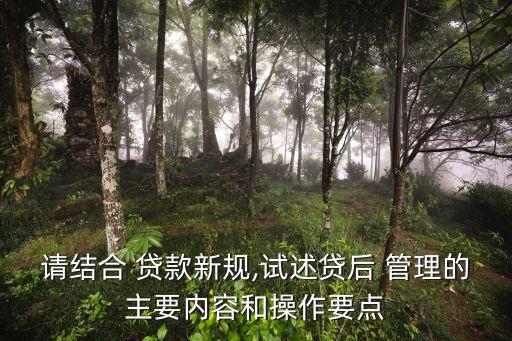 貸款管理