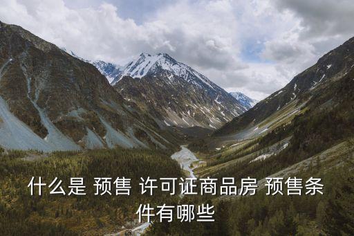 預(yù)售許可