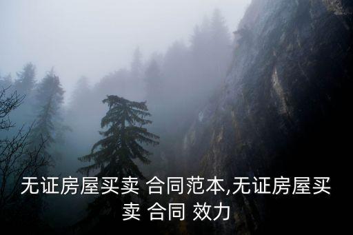 無(wú)證房屋買賣 合同范本,無(wú)證房屋買賣 合同 效力