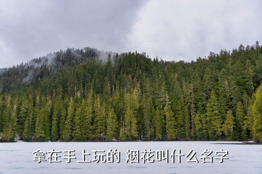 拿在手上玩的 煙花叫什么名字
