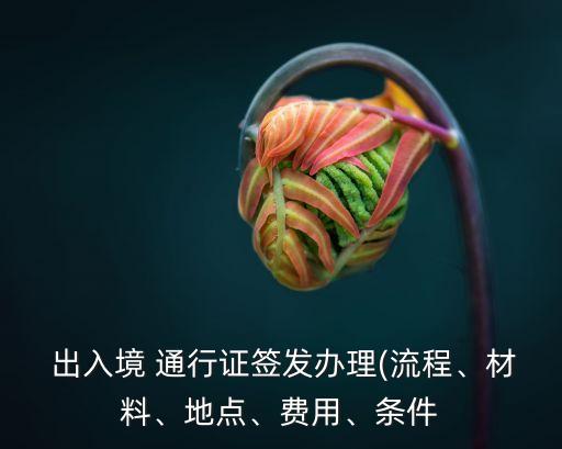 出入境通行證