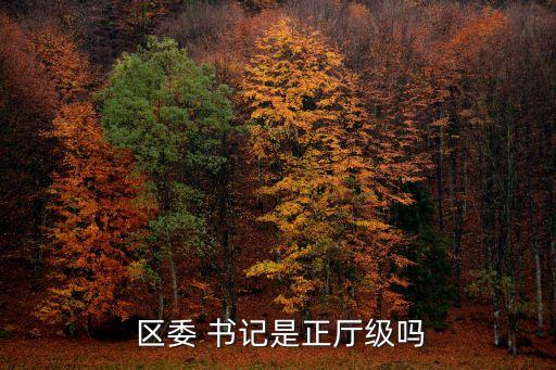 區(qū)委書記是什么級(jí)別,區(qū)長(zhǎng)是什么級(jí)別
