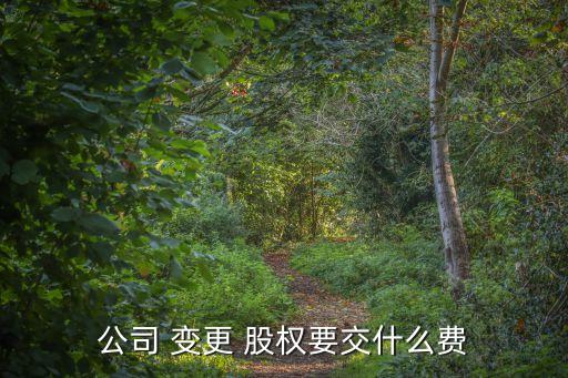股權(quán)變更代辦費(fèi)用多少,工商變更股東流程及需要資料