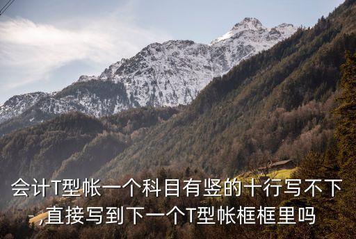 會計T型帳一個科目有豎的十行寫不下,直接寫到下一個T型帳框框里嗎