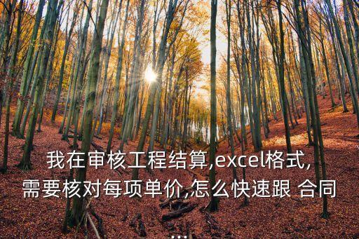 我在審核工程結算,excel格式,需要核對每項單價,怎么快速跟 合同...