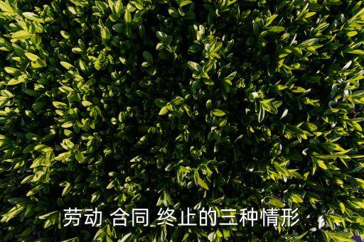 勞動 合同 終止的三種情形
