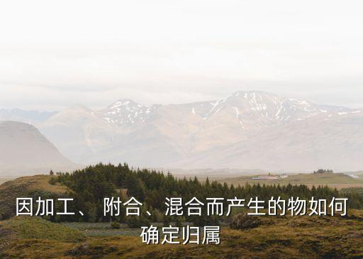 因加工、 附合、混合而產(chǎn)生的物如何確定歸屬