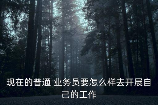 現(xiàn)在的普通 業(yè)務(wù)員要怎么樣去開展自己的工作