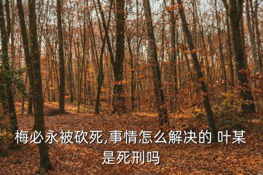 葉某