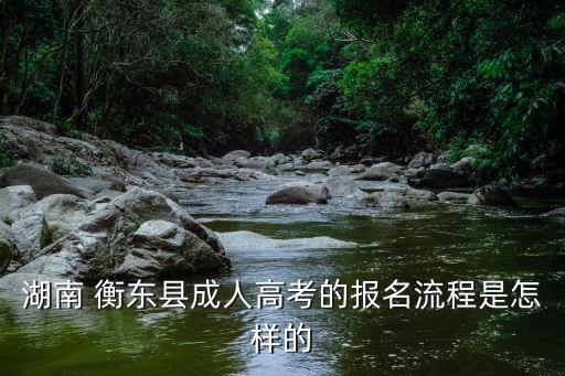 湖南 衡東縣成人高考的報(bào)名流程是怎樣的