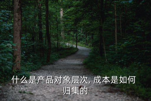 什么是產(chǎn)品對象層次, 成本是如何 歸集的