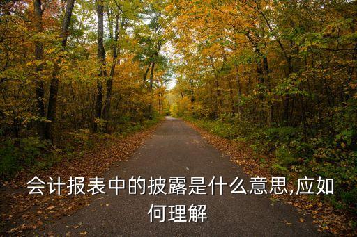  會(huì)計(jì)報(bào)表中的披露是什么意思,應(yīng)如何理解