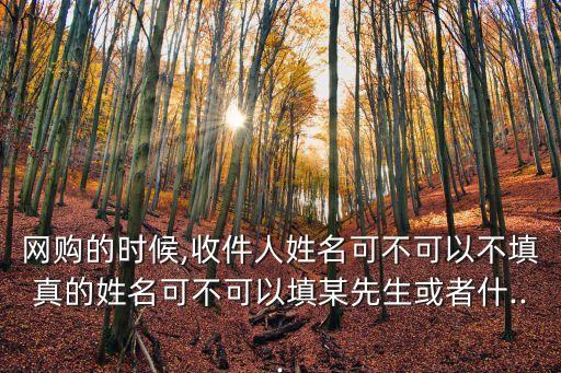 網(wǎng)購的時候,收件人姓名可不可以不填真的姓名可不可以填某先生或者什...
