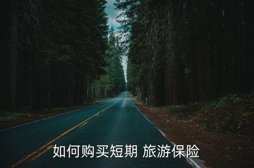 旅游險(xiǎn)
