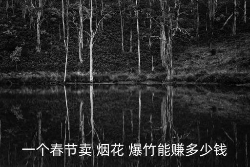 一個(gè)春節(jié)賣 煙花 爆竹能賺多少錢