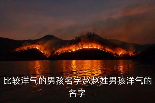 趙振
