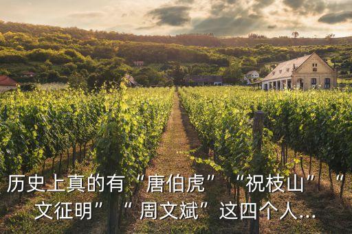 歷史上真的有“唐伯虎”“祝枝山”“文征明”“ 周文斌”這四個(gè)人...