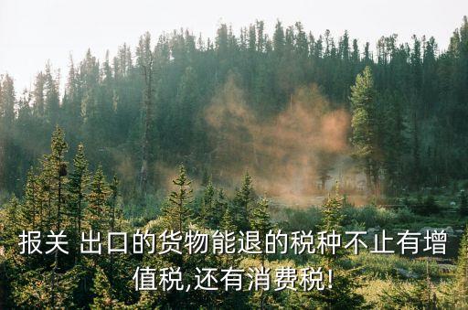 報(bào)關(guān) 出口的貨物能退的稅種不止有增值稅,還有消費(fèi)稅!