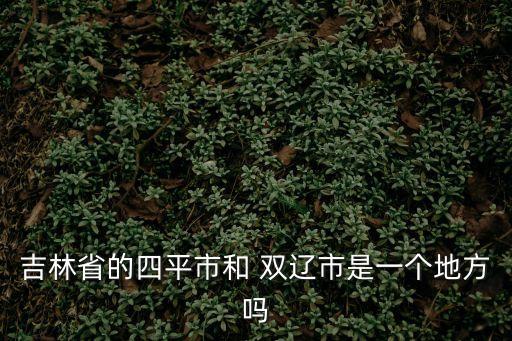 吉林省的四平市和 雙遼市是一個地方嗎