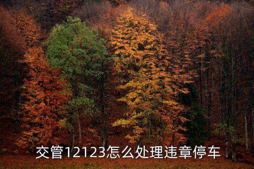  交管12123怎么處理違章停車(chē)