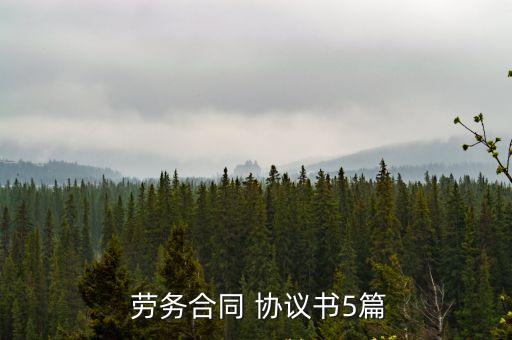  勞務合同 協(xié)議書5篇