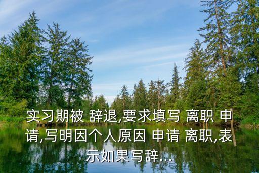 實習(xí)期被 辭退,要求填寫 離職 申請,寫明因個人原因 申請 離職,表示如果寫辭...
