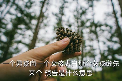 一個(gè)男孩向一個(gè)女孩表白那個(gè)女孩說先來個(gè) 預(yù)告是什么意思