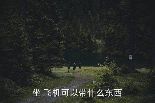 坐 飛機可以帶什么東西