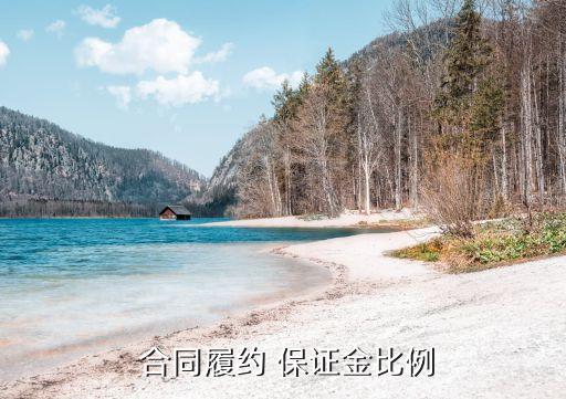  合同履約 保證金比例