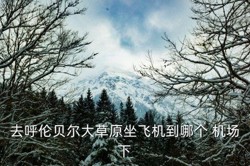 東山機(jī)場(chǎng),海拉爾東山機(jī)場(chǎng)