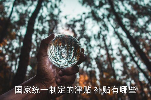 國家統(tǒng)一制定的津貼 補(bǔ)貼有哪些
