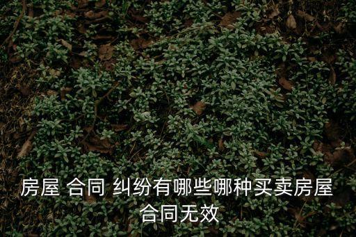 房屋 合同 糾紛有哪些哪種買賣房屋 合同無效
