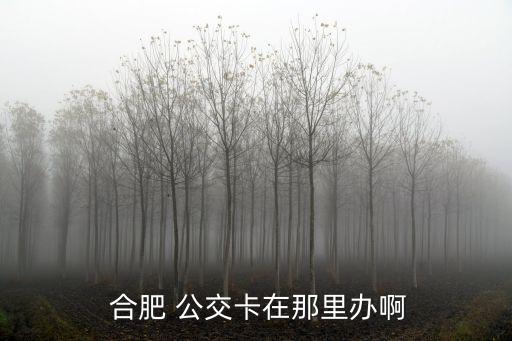  合肥 公交卡在那里辦啊
