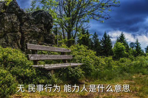 無 民事行為 能力人是什么意思