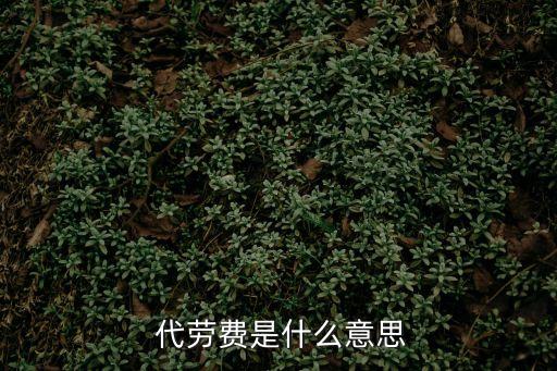 代勞是什么意思,以免代勞是什么意思?
