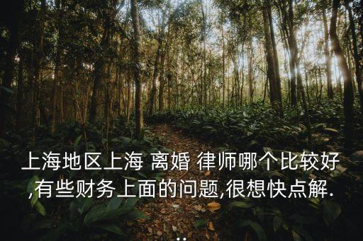 上海地區(qū)上海 離婚 律師哪個(gè)比較好,有些財(cái)務(wù)上面的問題,很想快點(diǎn)解...