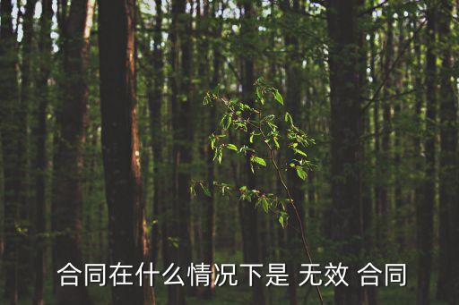  合同在什么情況下是 無(wú)效 合同
