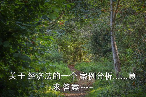 關(guān)于 經(jīng)濟(jì)法的一個(gè) 案例分析……急求 答案~~~