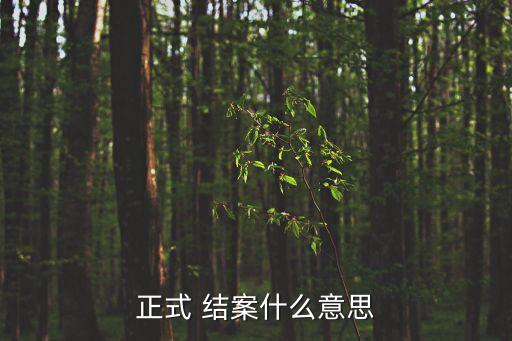正式 結案什么意思