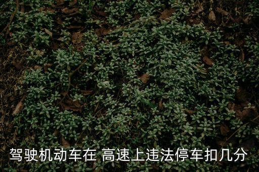 高速違停,高速停車扣幾分