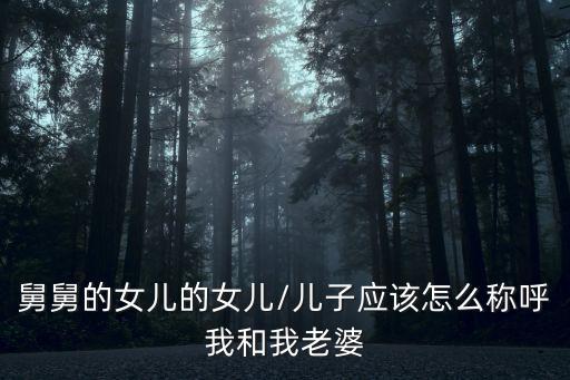 舅媽吧