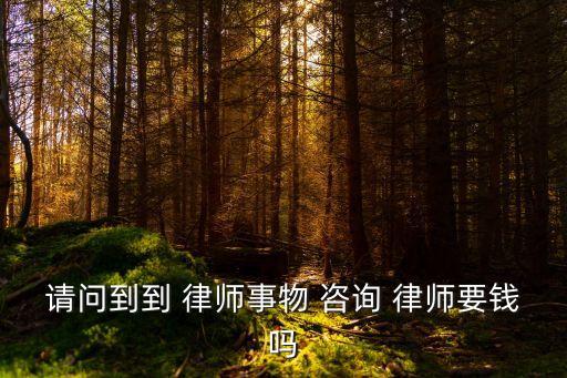 請(qǐng)問到到 律師事物 咨詢 律師要錢嗎