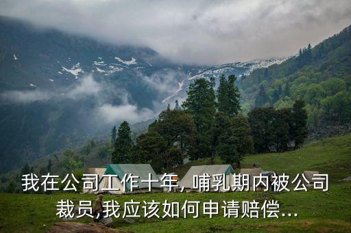 我在公司工作十年, 哺乳期內(nèi)被公司 裁員,我應(yīng)該如何申請賠償...